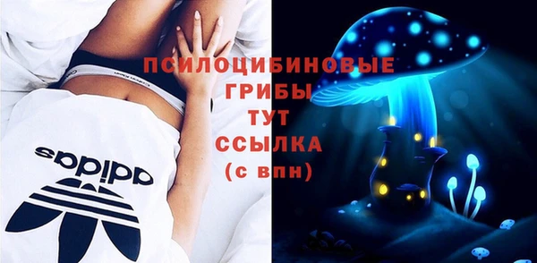 круглые Алзамай