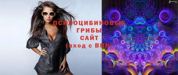 круглые Алзамай